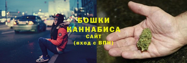 ешки Ельня