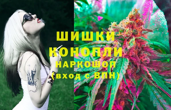 ешки Ельня