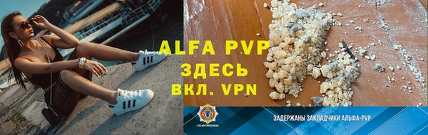 ешки Ельня