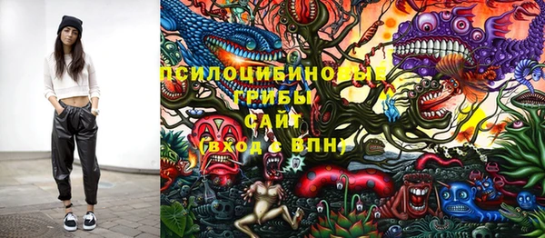 гидропоника Елабуга