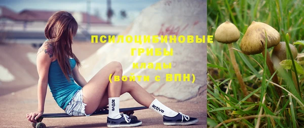 ешки Ельня