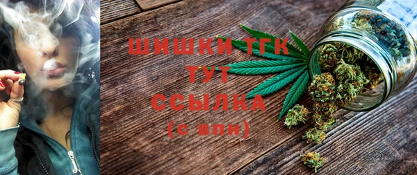 гидропоника Елабуга