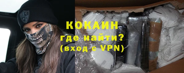 ешки Ельня