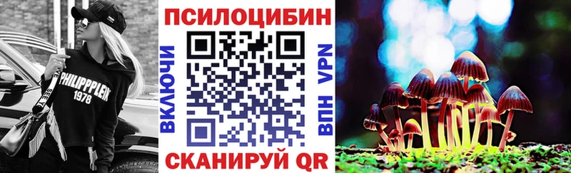 Купить где  Петропавловск-Камчатский  Псилоцибиновые грибы прущие грибы 